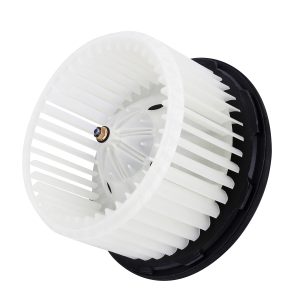 AC-Blower-Motor-with Fan
