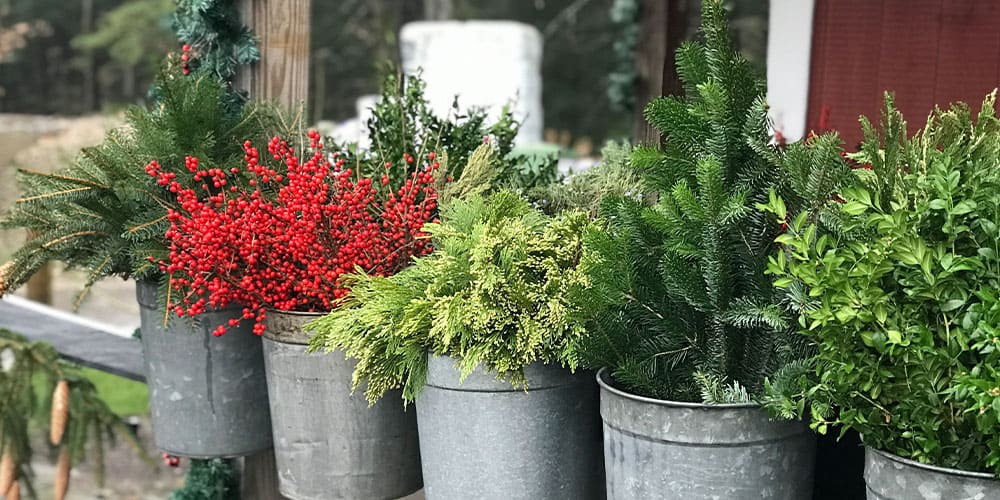 Front Porch Planters